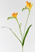 A perfect decoration for any home with this lifelike and beautiful faux freesia flower in orange color. Its faux stem and petals make it look realistic and natural.