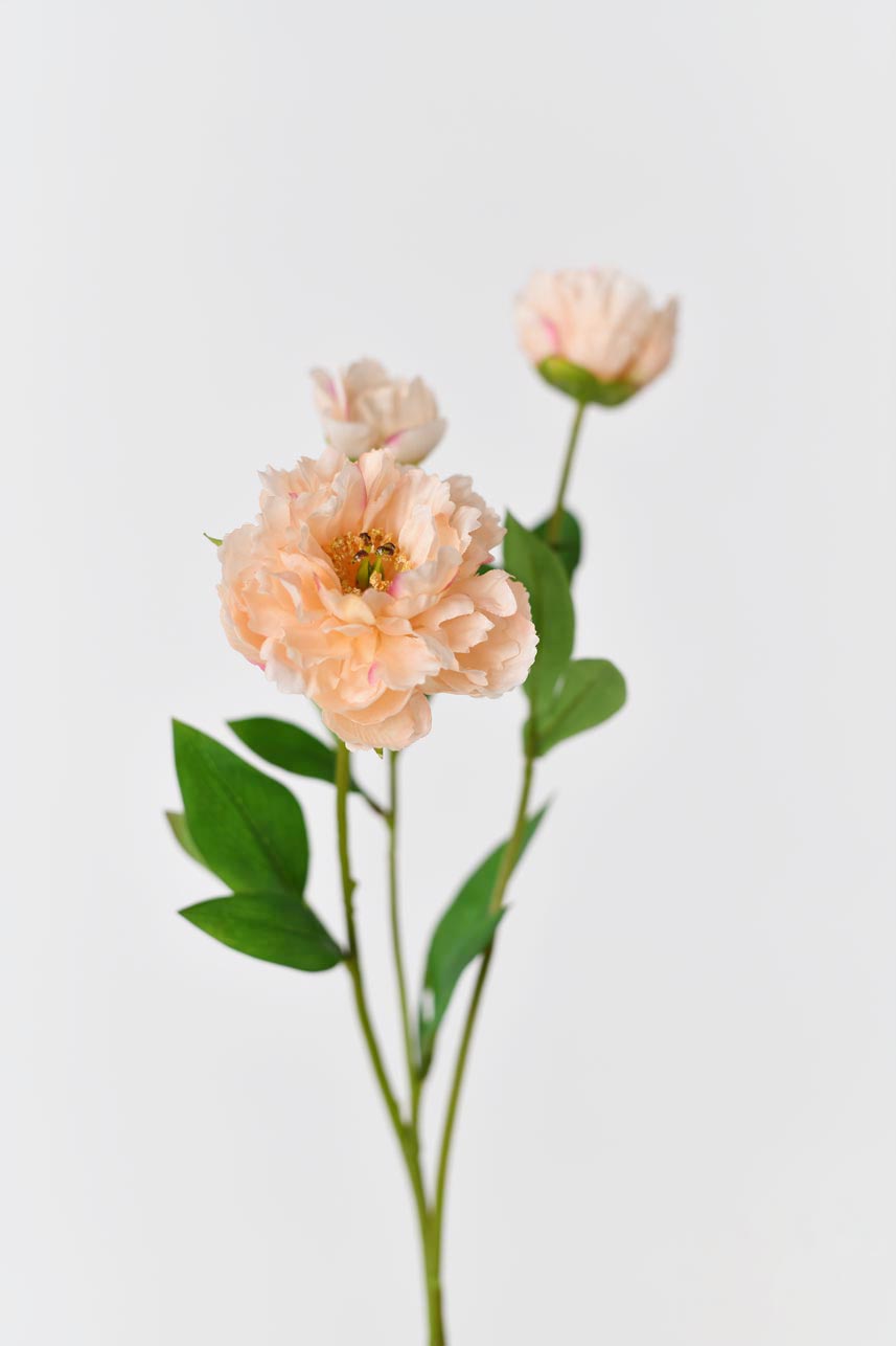 Peach artificial peony flowers with a faux, realistic-looking appearance and 21-inch stems displayed with a vase