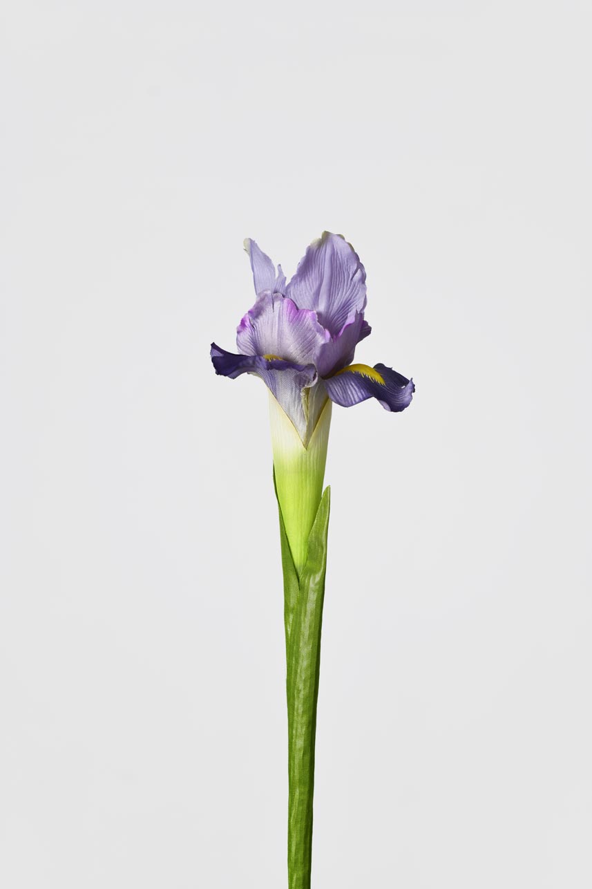 Artificial real-looking purple Iris flower branch with green leaves.