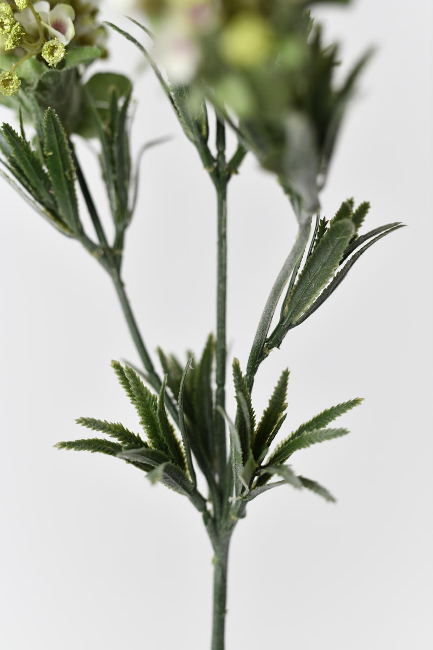 Decorative faux sweet alyssum flowers in white with faux wire stems. Great for adding a touch of elegance and beauty to any space.