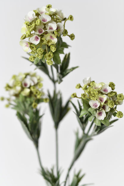 Artificial flower petals and faux wire stems in realistic-looking faux sweet alyssum flowers in white. Perfect for home decoration or creating stunning floral arrangements.