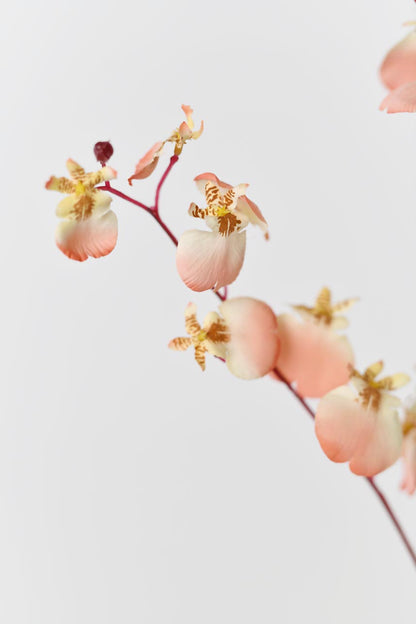 Silkfloras silk blooming artificial coral pink dancing orchid flowers arrangement, with delicate petals and vivid colors, brings elegance to any space.
