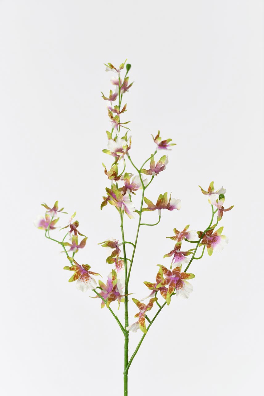 A silk blooming artificial oncidium flowers arrangement in white and green, with delicate and vivid petals.