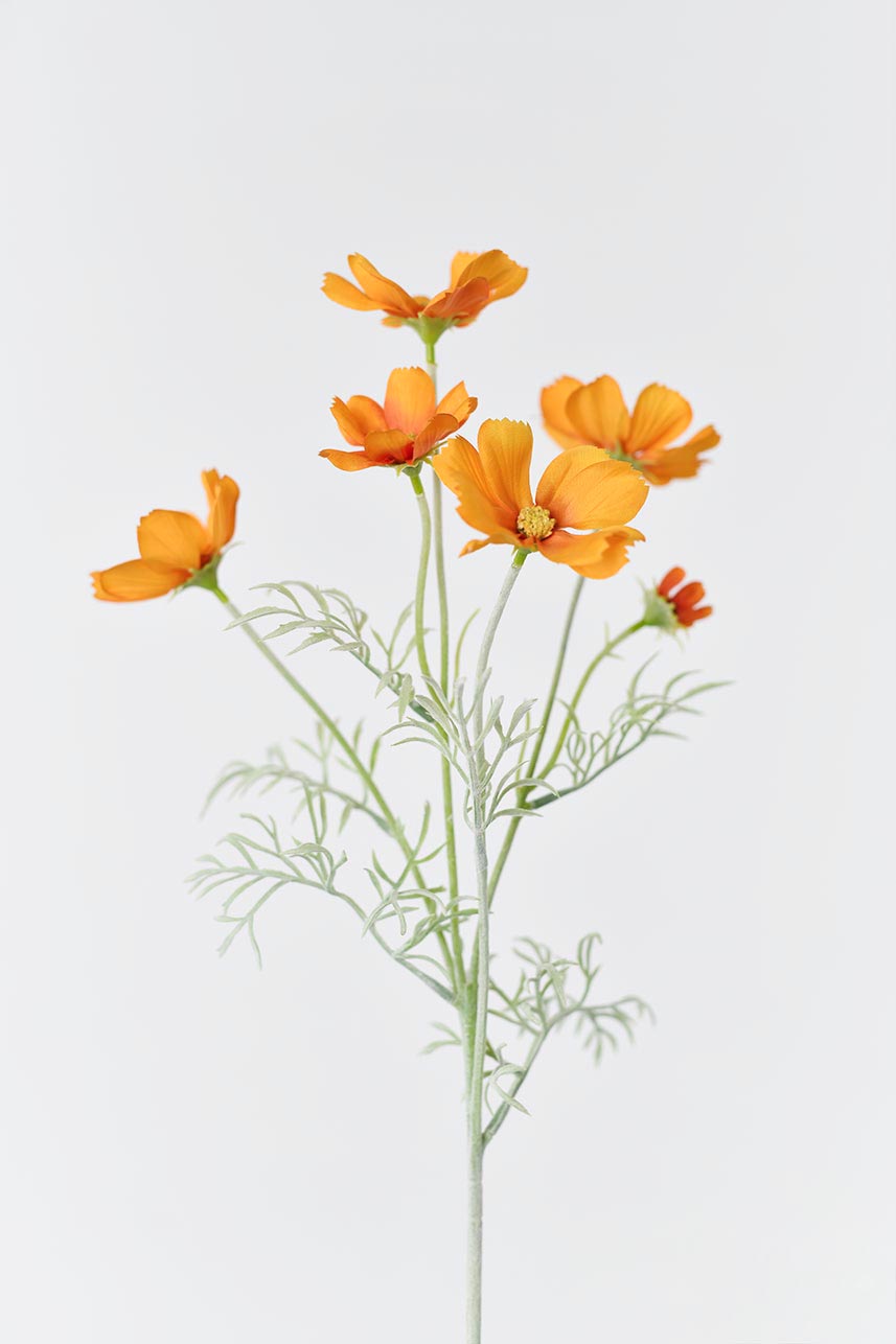 Faux orange Cosmos bipinnatus flowers with 5 large fabric blooms, one small bloom, and realistic green leaves.