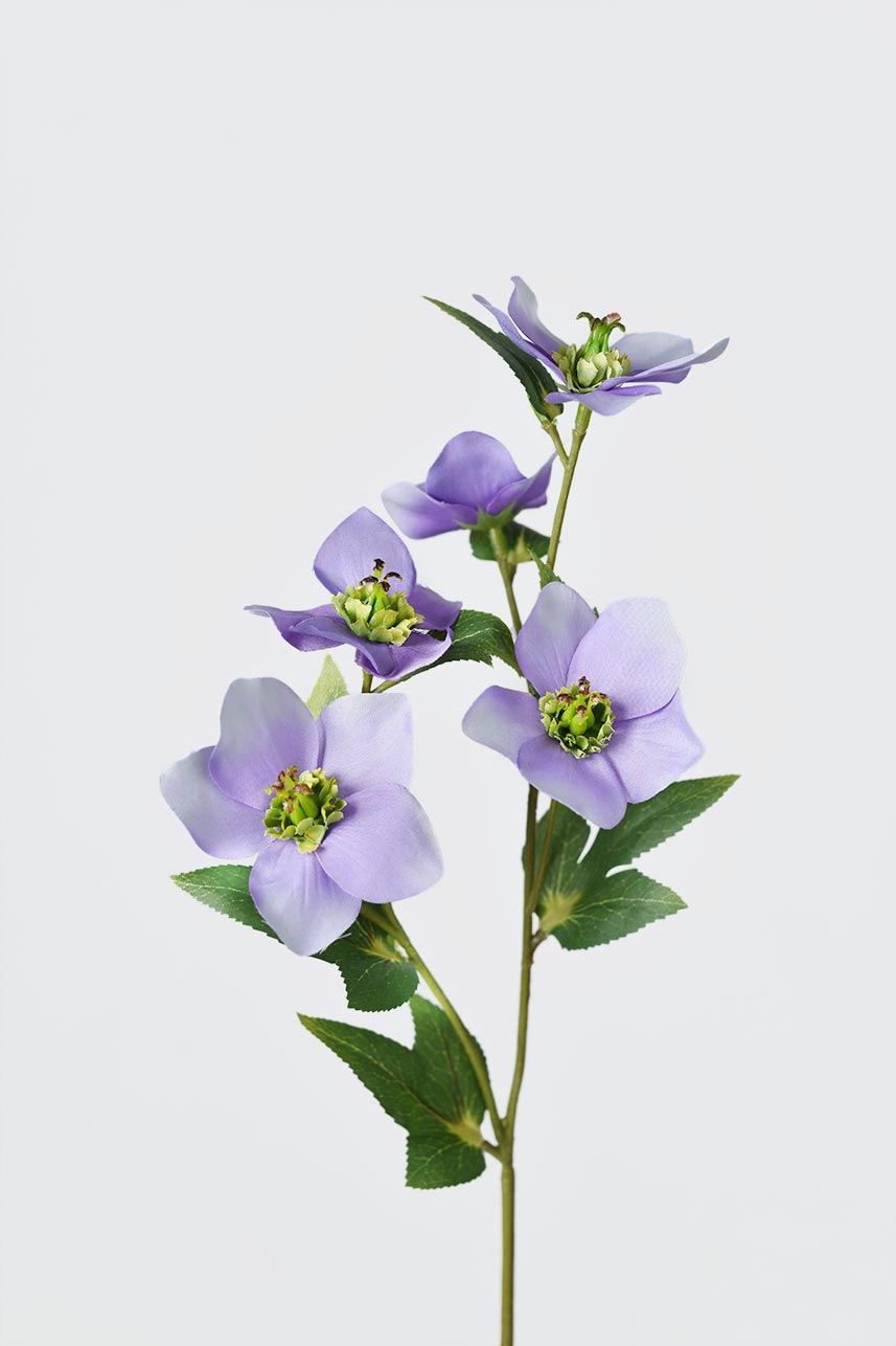 Fake Helleborus silk floral in light purple with 5 realistic blooms and green foliage.