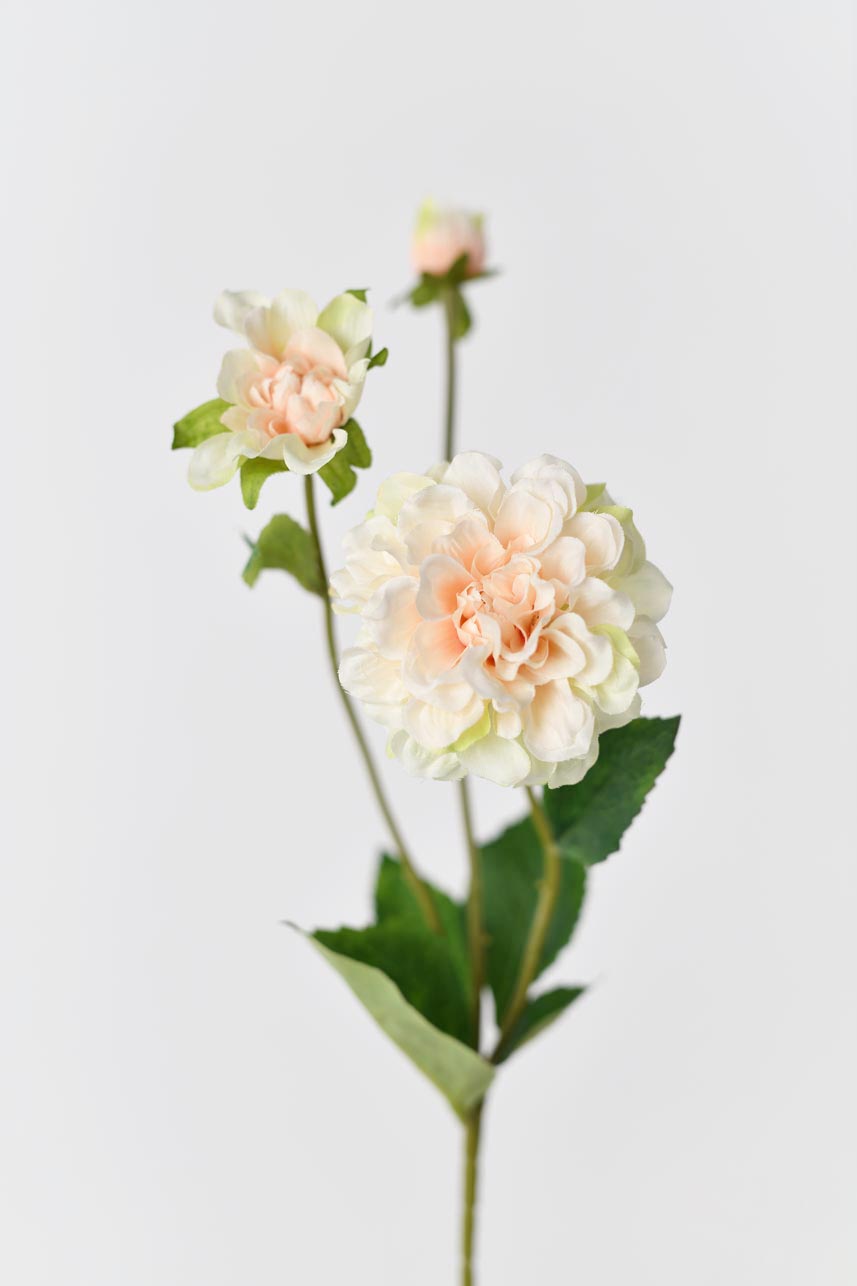 A silk peony flower in a beautiful blush peach color, standing at 24 inches in height.