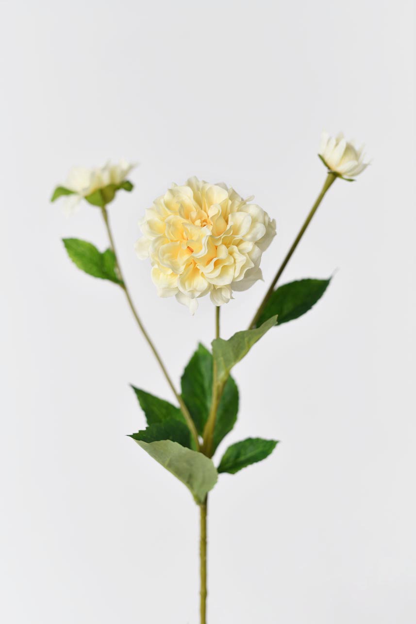 A lifelike silk Paeonia in yellow and peach colors with realistic petals, green leaves and long stems. Perfect for home decor or special occasions.