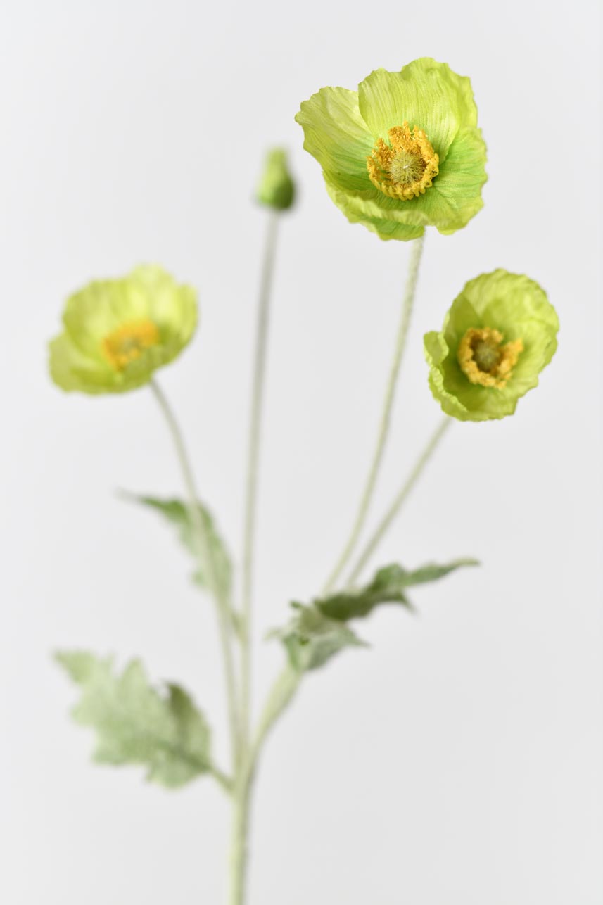 A lifelike and beautiful faux papaver rhoeas flower in soft green color with faux stems. Perfect for home decoration or adding a touch of elegance to any space.