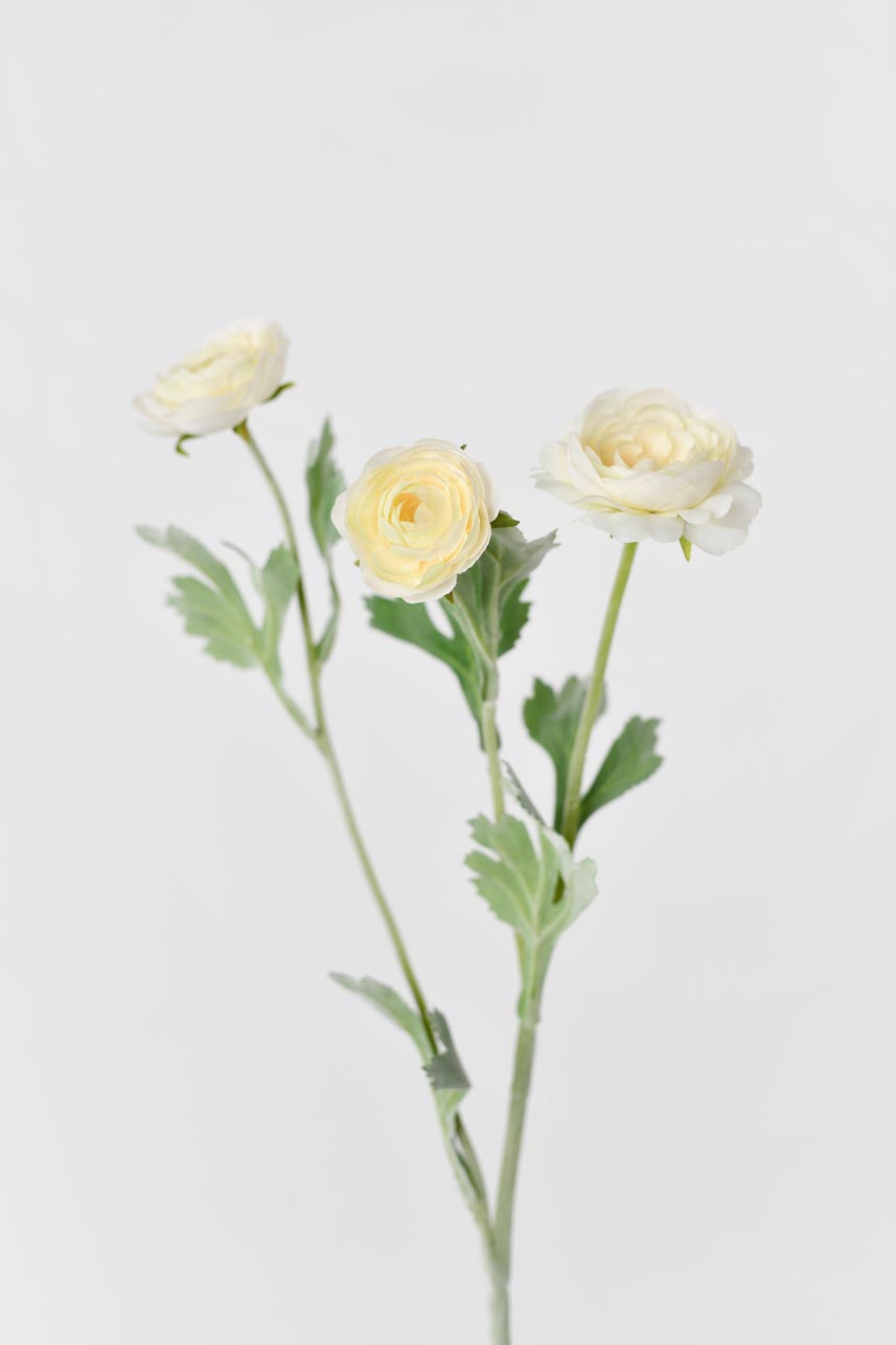A lifelike and stunning faux ranunculus flower in yellow peach color with faux stems. Perfect for adding a touch of elegance to any space.
