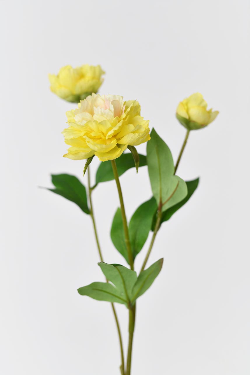 A realistic-looking yellow peony flower with soft petals and long stems, standing at 21 inches in height.